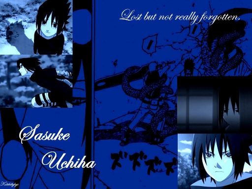 Sasuke Timeline