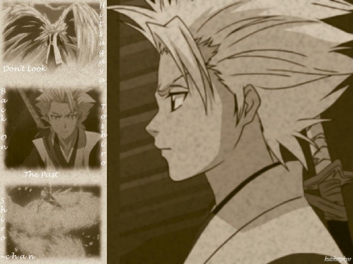 Hitsugaya's Past