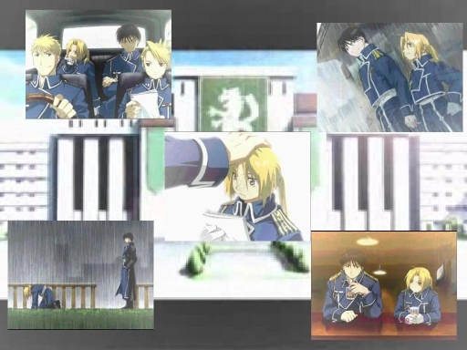 Ed The Millitary Dog