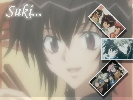 Suki