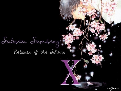 Prisoner Of The Sakura