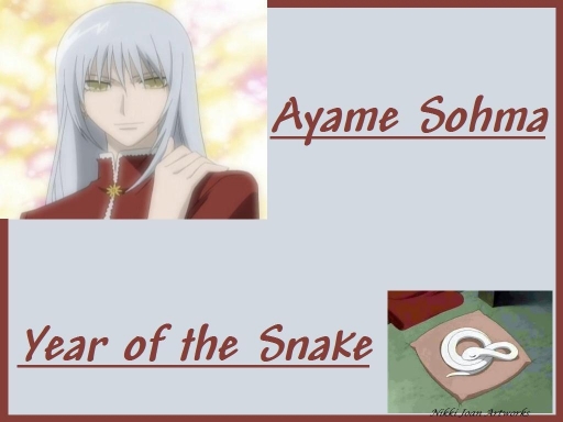 Year Of The Snake