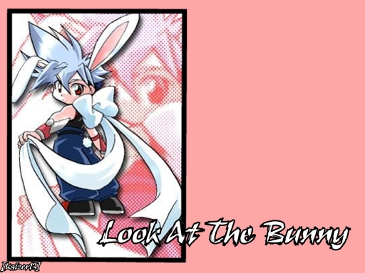Look At The Bunny