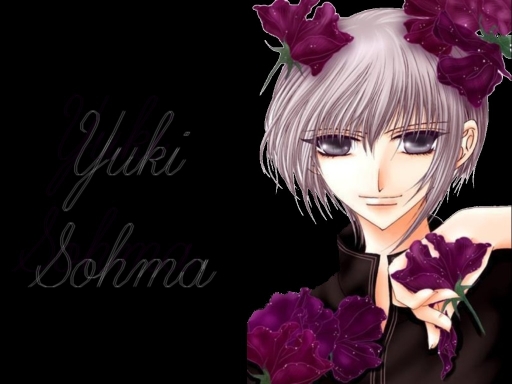 Yuki Purple Flowers