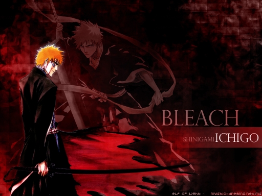Shinigami Ichigo