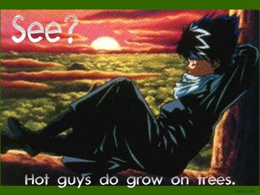 Hiei In A Tree