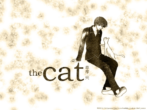 The Cat