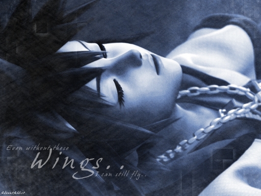 Even Without These Wings, I Ca