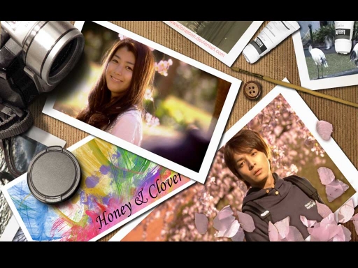 Honey and Clover