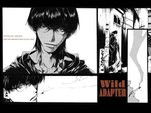 Wild Adapter 2
