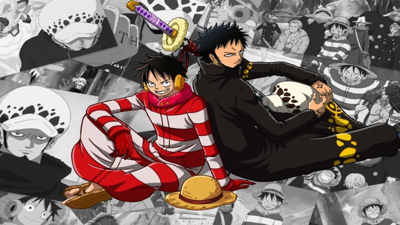 Luffy and Law