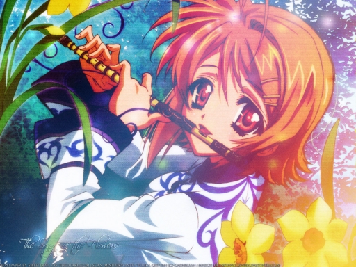 The Song of the Flowers