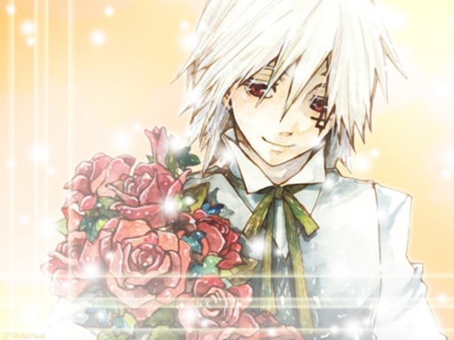 D.gray Man