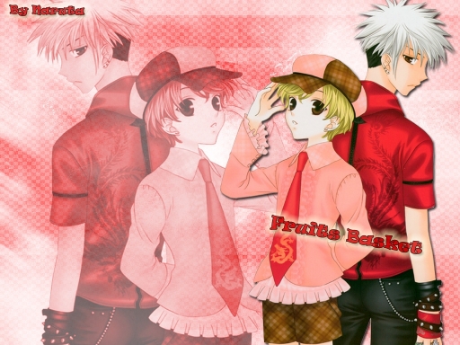 Red Furuba Protectors