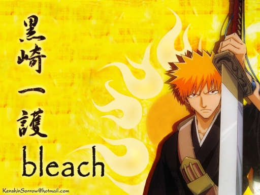 Bleach