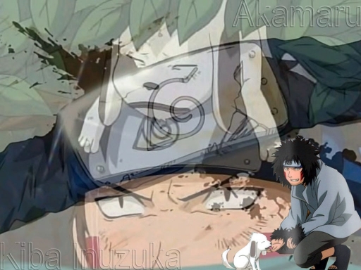 Kiba Inuzuka, And Akamaru