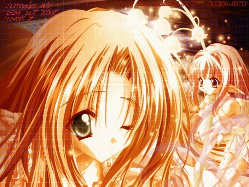 When Night Time Falls