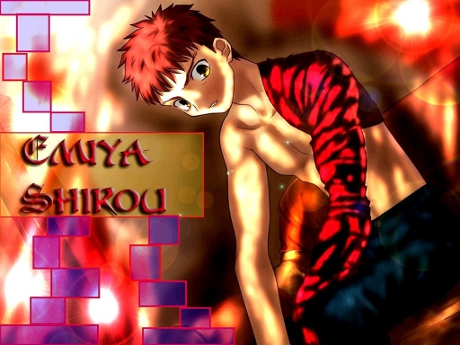 Emiya Shirou
