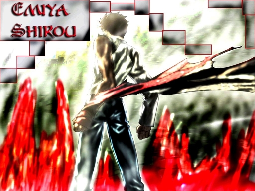 Emiya Shirou