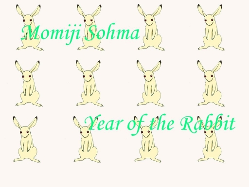 Year Of The Rabbit