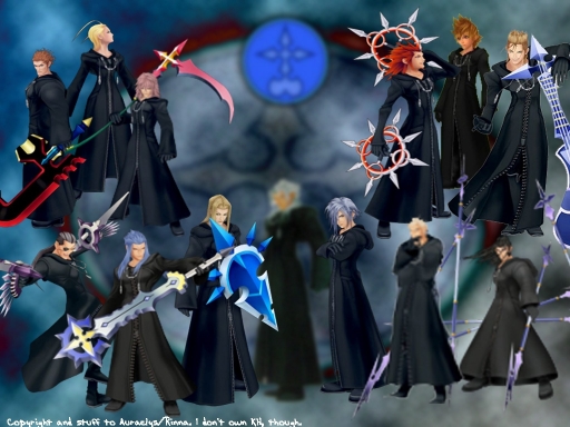Organization Xiii