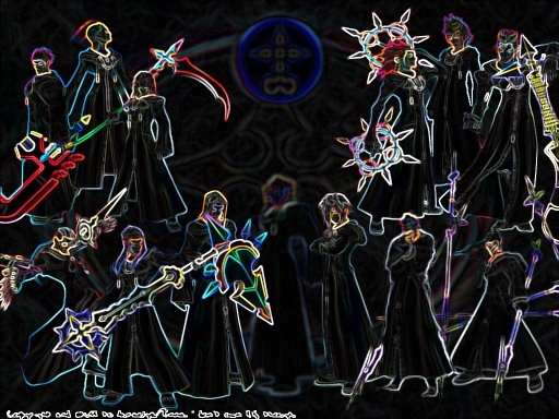 Organization Xiii