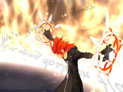 Going Down In Flames