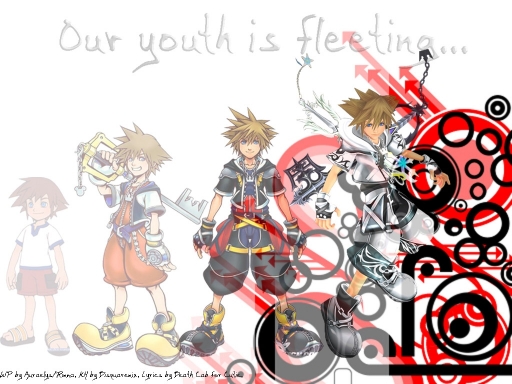 Our Youth Is Fleeting - Sky