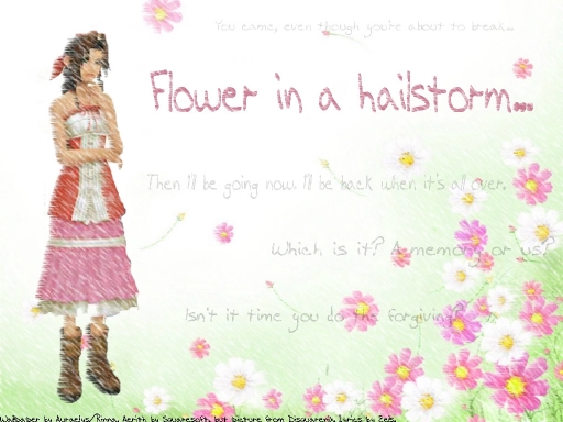 Flower In A Hailstorm