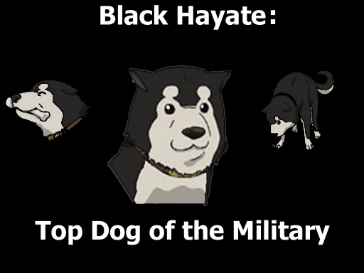 Black Hayate
