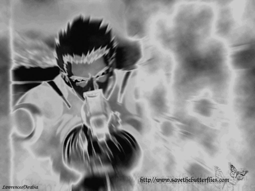 Save the Butterflies