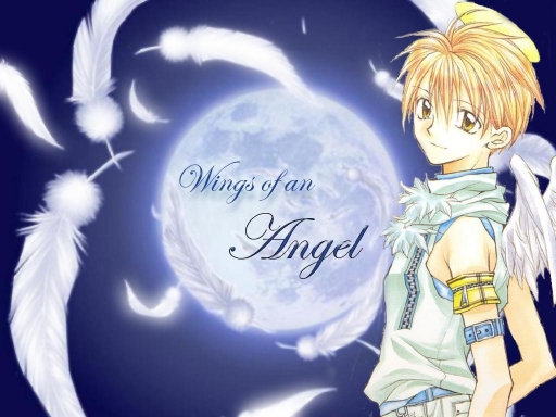 Wings Of An Angel