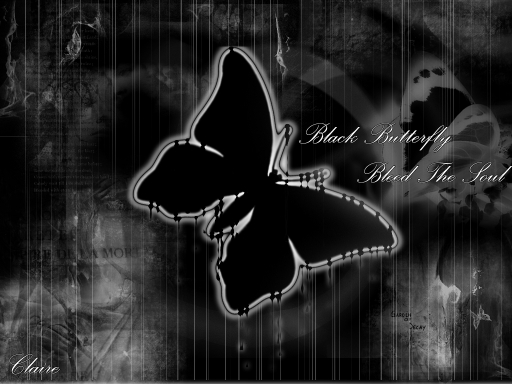 Black Butterfly