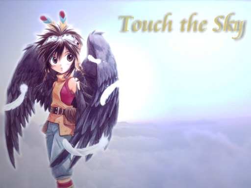 Touch the Sky