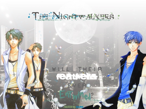 The Nightwalkers