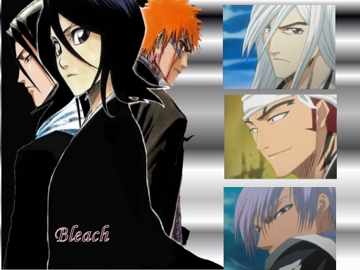 Favourites In Bleach