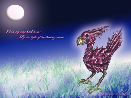 Going Back Home - Chocobo