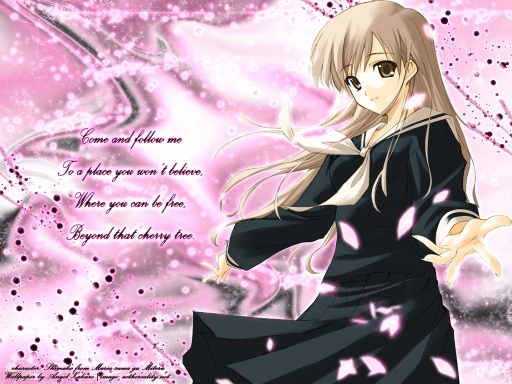 Where You Can Be Free