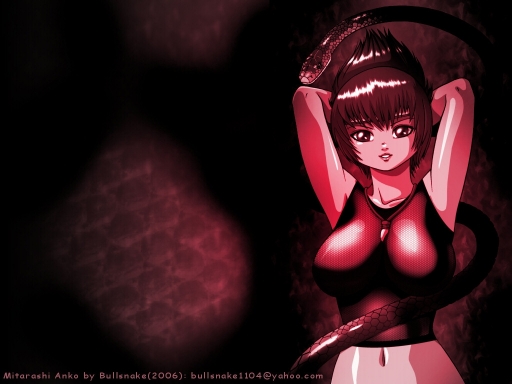 Anko And The Black Mamba