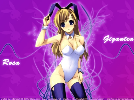 A Rose in a Bunny Suit