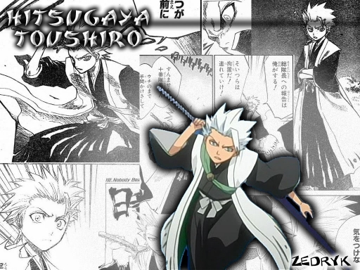 Hitsugaya Toushiro W1