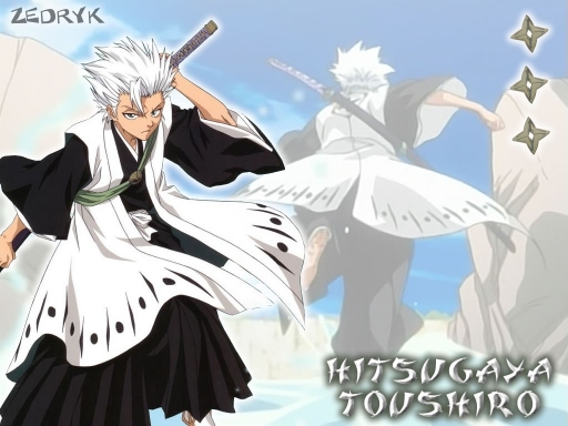 Hitsugaya Toushiro W2