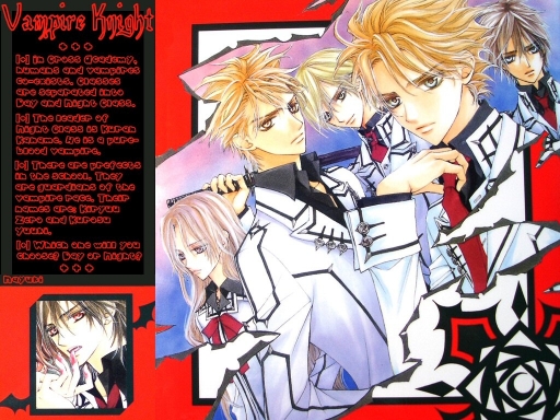 Vampire Knight