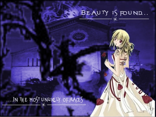 Beauty Isnt Always What It See