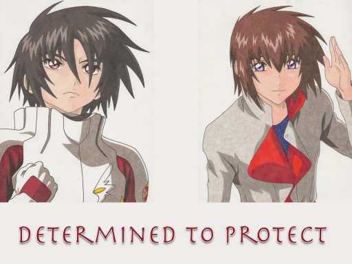 Determined to Protect