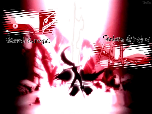 Kurosaki Vs Grimmjow