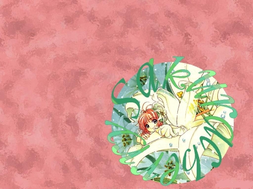 Littlelilysakura
