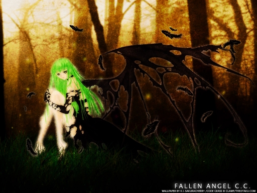 FALLEN ANGEL C.C