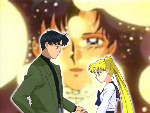 Mamoru Usagi 2