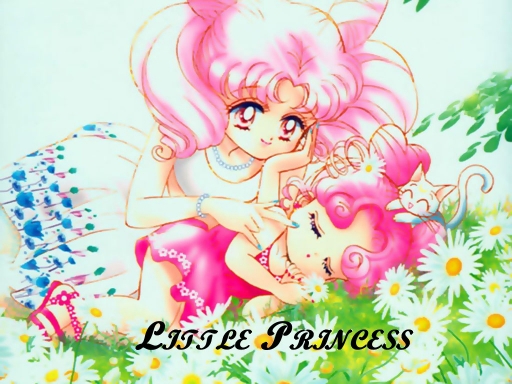 Chibiusa & Chibichibi
